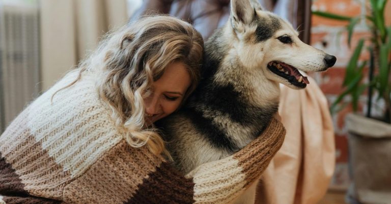 Remove Dog Hair from Clothes